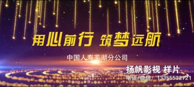 2020芜湖国寿年会视频拍摄制作